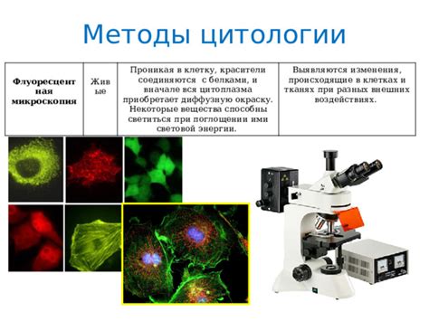 Что нужно знать о преобразованиях в клетках при жидкостной цитологии