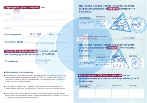 Что нужно знать перед восстановлением прививочного сертификата?