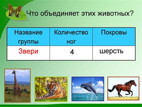 Что объединяет поведение животных: основные черты и причины