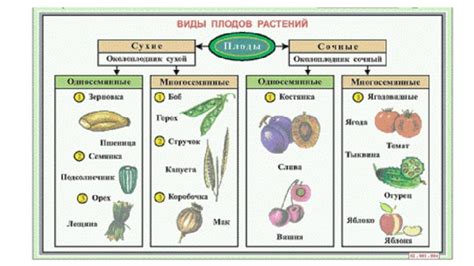 Что ожидается внутри плодов