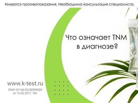 Что означает каждая цифра в СНИЛСе?