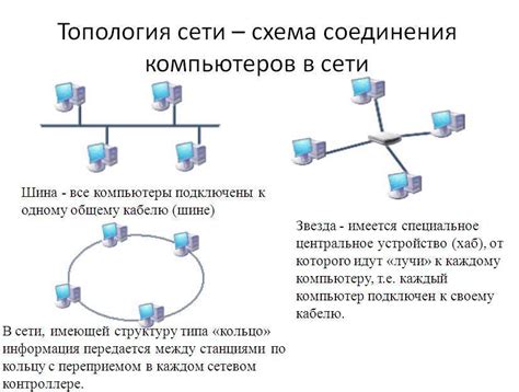 Что отличает локальную сеть от глобальной?