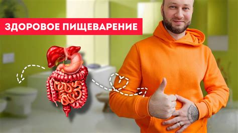 Что пить при тошноте и запорах?