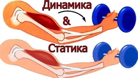 Что преобладает: статика или динамика в спорте?