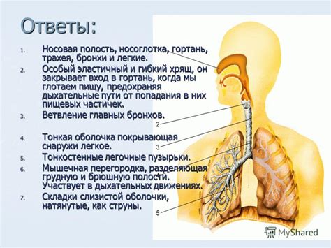 Что происходит, когда мы не глотаем слюну?