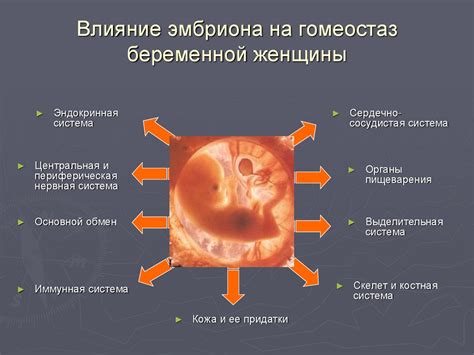 Что происходит в организме во время перелета?