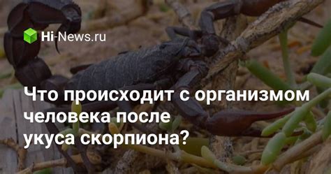 Что происходит с организмом человека после укуса осой