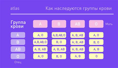 Что скрывается за вероятностью конфликта по группе крови