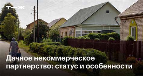 Что такое ДНП и СНТ: отличия и особенности