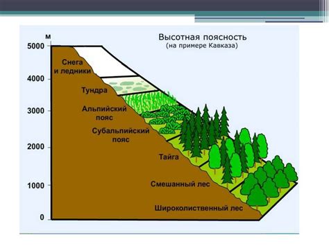 Что такое высотная поясность?