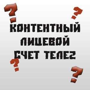 Что такое единый лицевой счет Теле2 и как он работает