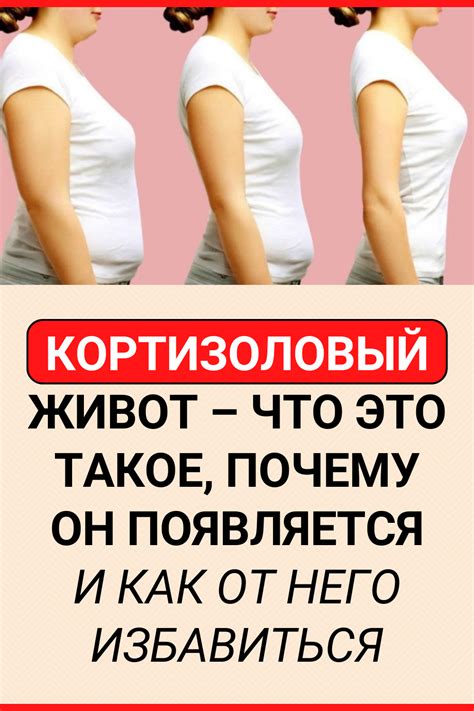 Что такое живот от груди?