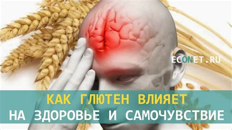 Что такое здоровье и как оно влияет на нас?