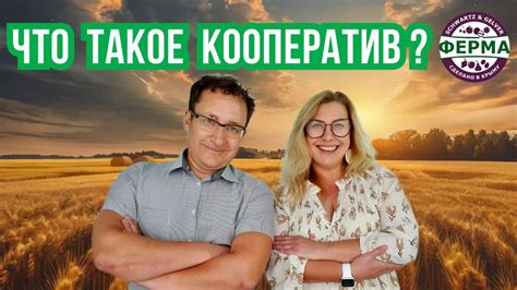 Что такое кооператив общий экран в стиме