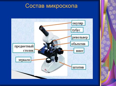 Что такое микроскоп 5 класс биология?