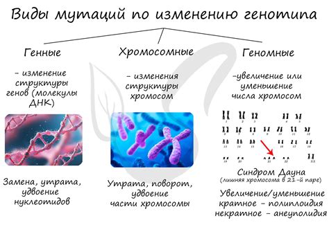 Что такое мутации генов в биологии 10 класс