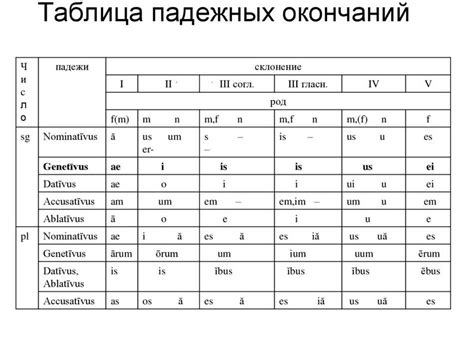 Что такое определяемое слово в латинском языке?