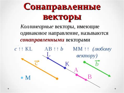 Что такое параллельные векторы?