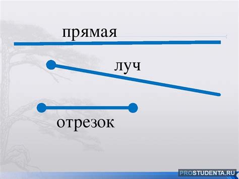 Что такое прямая и как ее определить?