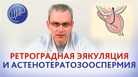 Что такое ретроградная эякуляция?