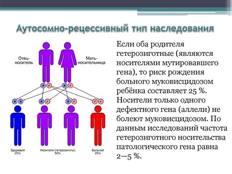 Что такое сводный брат или сводная сестра?