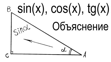 Что такое синус x?