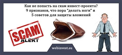 Что такое скам и как его понимают молодые люди?