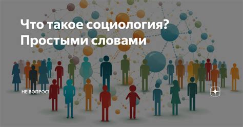 Что такое социология?