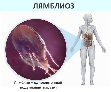 Что такое сыпь и понос?