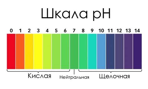 Что такое титры в РН-метрии и почему они важны