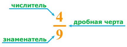 Что такое числитель дроби?