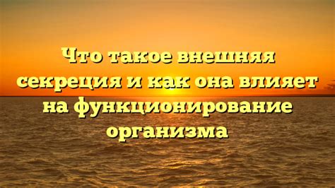 Что это значит и как влияет на его функционирование?