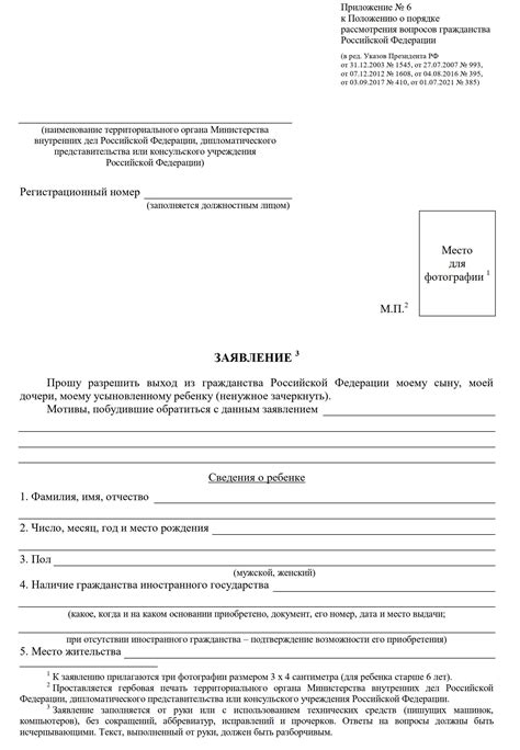 Шаг 3: Рассмотрение заявления о отказе от гражданства