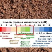 Шаг 4: Применение моющего раствора