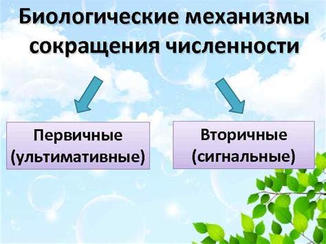 Шаг 6: Возможности сокращения численности