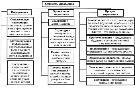 Шоппер: понятие и сущность