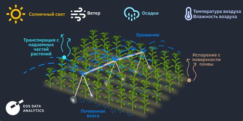 Эвапотранспирация и соленость