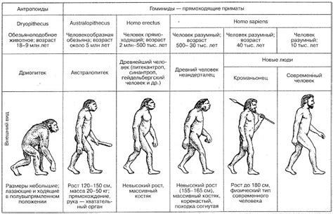 Эволюция и ее основные теории