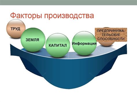 Эволюция руки как основного органа труда: факторы, способствовавшие ее развитию