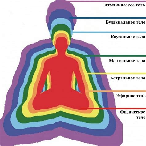 Эзотерический смысл сновидений с ежиком