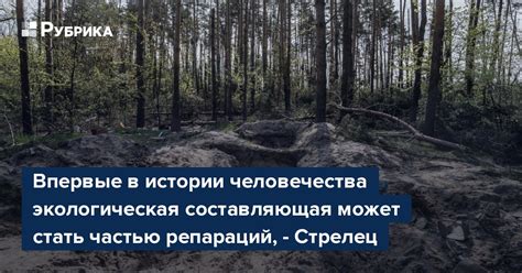 Экологическая составляющая дыбины