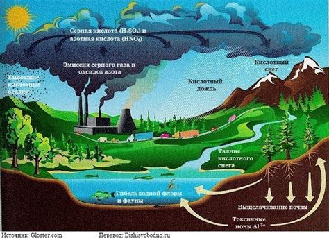 Экологические последствия спорого дождя