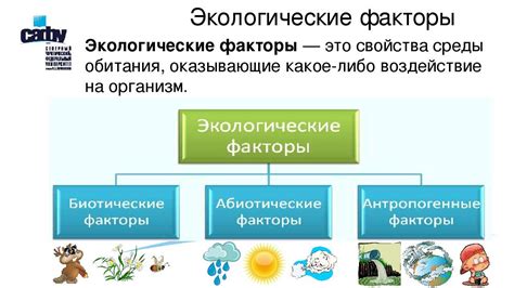 Экологические факторы окружающей среды маркетинга