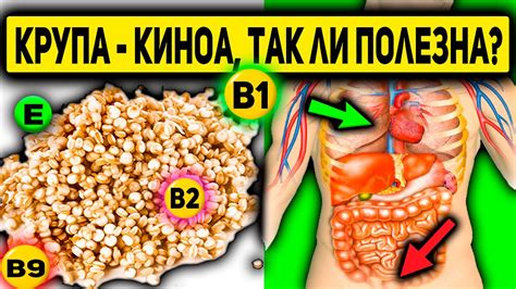 Экспериментируйте с гречкой или киноа