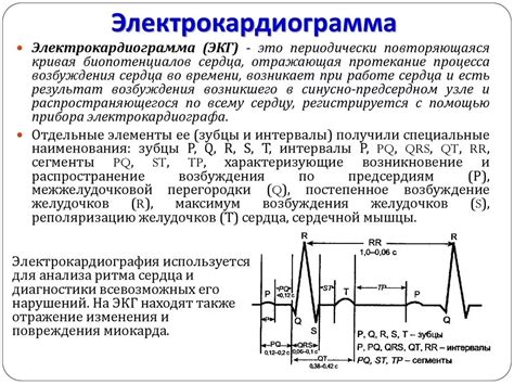 Электрокардиограмма и желудочковая реполяризация