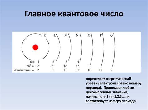 Элементы внешней оболочки