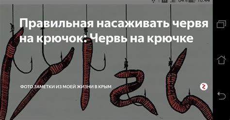 Эмоциональное воздействие сна: насаждение червя на крючок