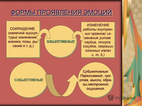 Эмоциональные состояния и сны