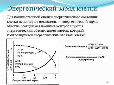 Энергетический показатель