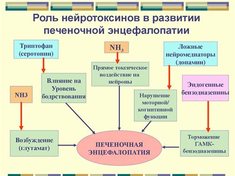 Энцефалопатии: причины возникновения и развитие